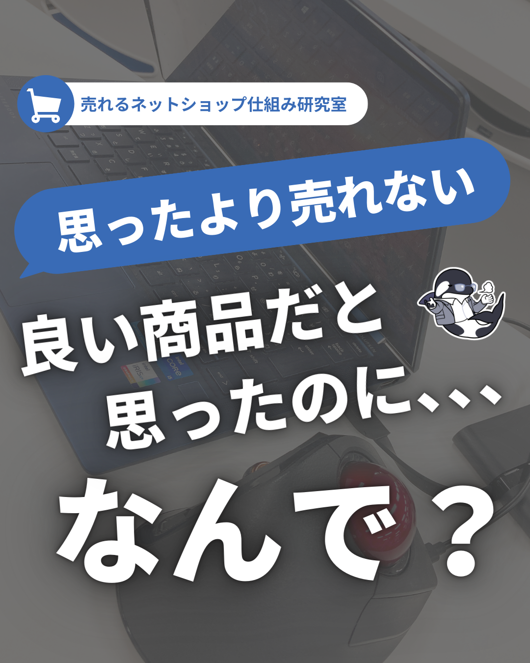 良い商品だと思ったのに・・・／思ったより売れない！なんで？？ ｜ シクミカ教授の「売れるネットショップ」仕組み研究室